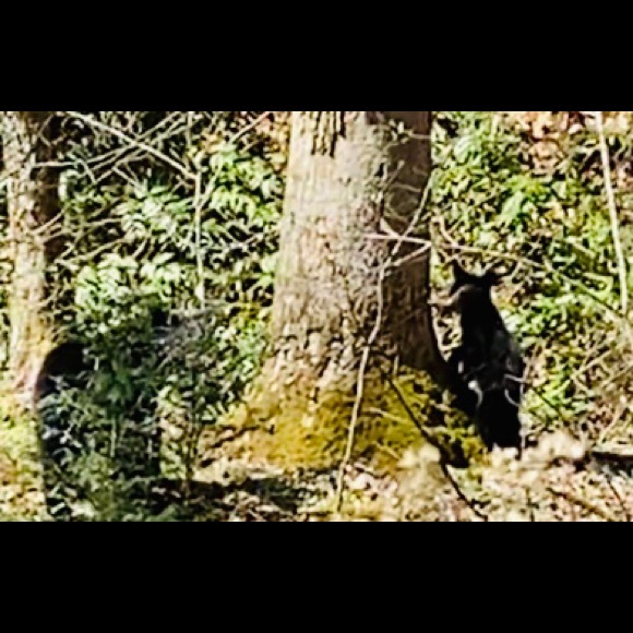 Meet your Posher, Sheri - Picture 1 of 1